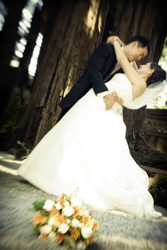 Los Altos Wedding Photographers