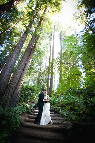 Contact wedding photographer