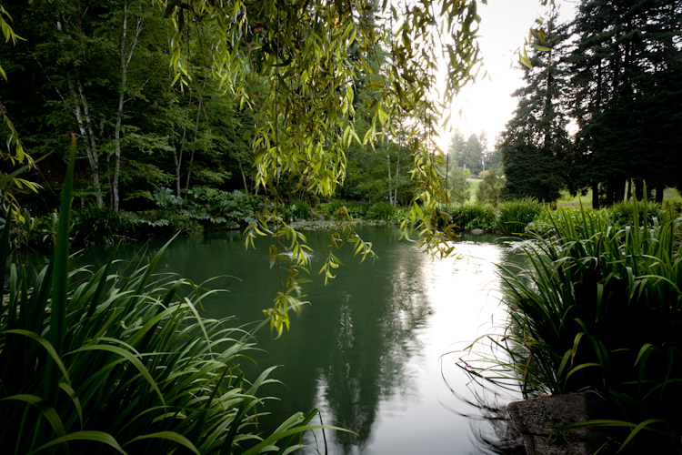 Sandra Ivany wedding photographer in Santa Cruz.